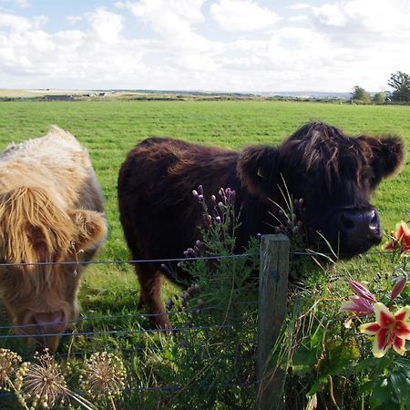 Carrig Lios Bed & Breakfast Thurso Dış mekan fotoğraf