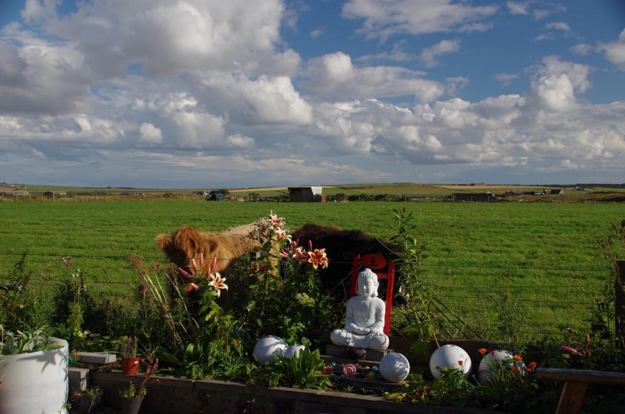Carrig Lios Bed & Breakfast Thurso Dış mekan fotoğraf